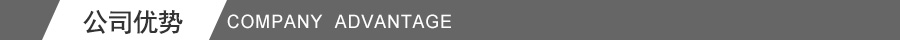 公司优（yōu）势（shì）